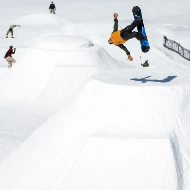 Lib Tech Skunk Ape ll Snowboard 2024